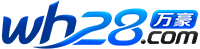 28大模型预测